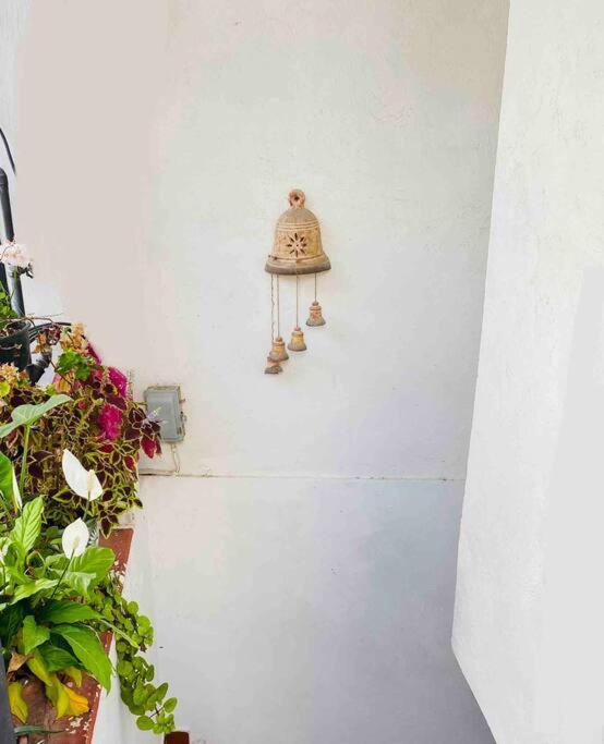 Bonito Y Comodo Departamento En Taxco! Leilighet Eksteriør bilde